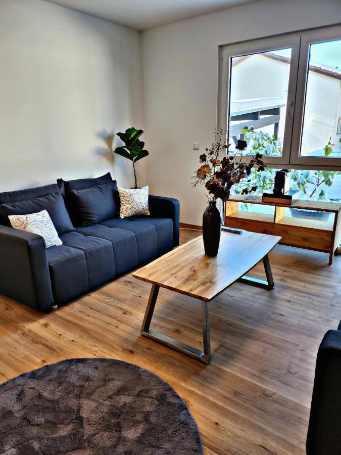 Lions Place Premium Apartments Comfort Optionaler Zugang Zum Spa- Bereich Heidenheim an der Brenz Dış mekan fotoğraf