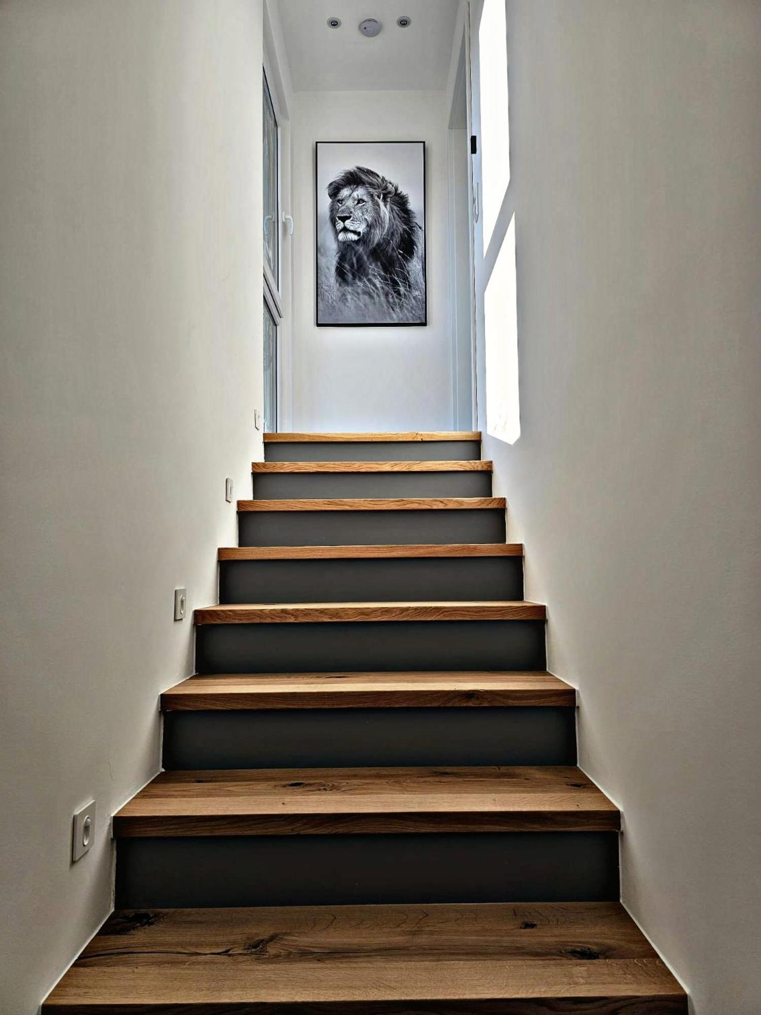 Lions Place Premium Apartments Comfort Optionaler Zugang Zum Spa- Bereich Heidenheim an der Brenz Dış mekan fotoğraf