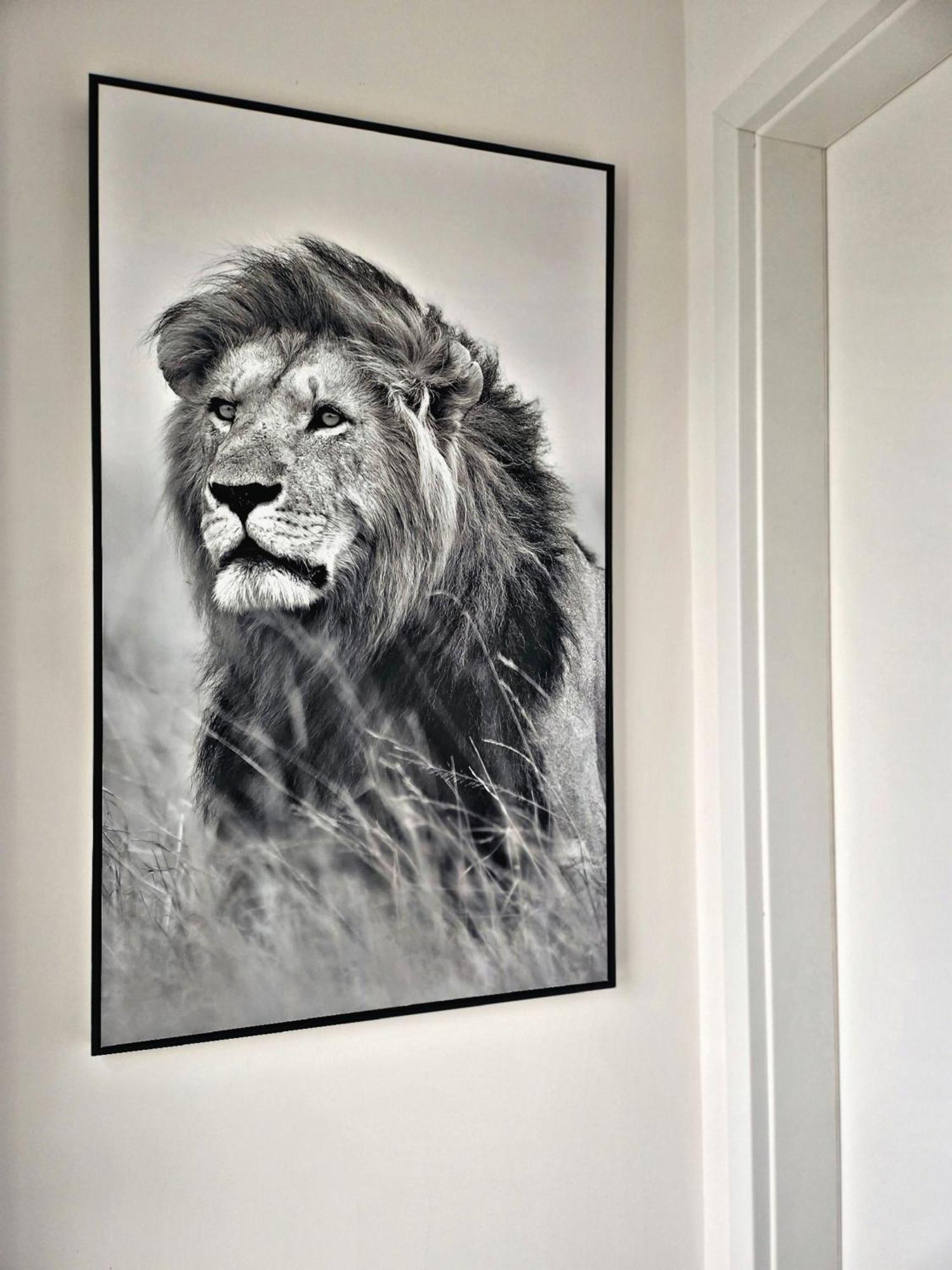 Lions Place Premium Apartments Comfort Optionaler Zugang Zum Spa- Bereich Heidenheim an der Brenz Dış mekan fotoğraf